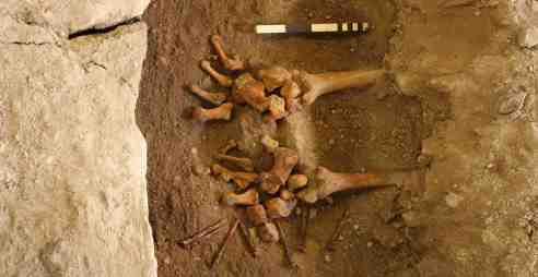 Archeologia Terrestre